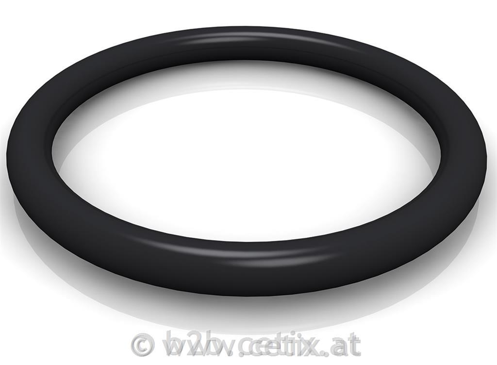 TECH - O-Ring - 20" Zoll für FelgenOR-220TG